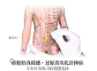 一上手就知道有多香的硅胶针灸模型​