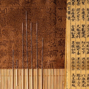 硅胶针灸人体模型：多样尺寸，适配全阶段需求​